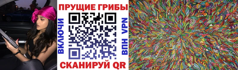 кракен зеркало Амурск Псилоцибиновые грибы MAGIC MUSHROOMS