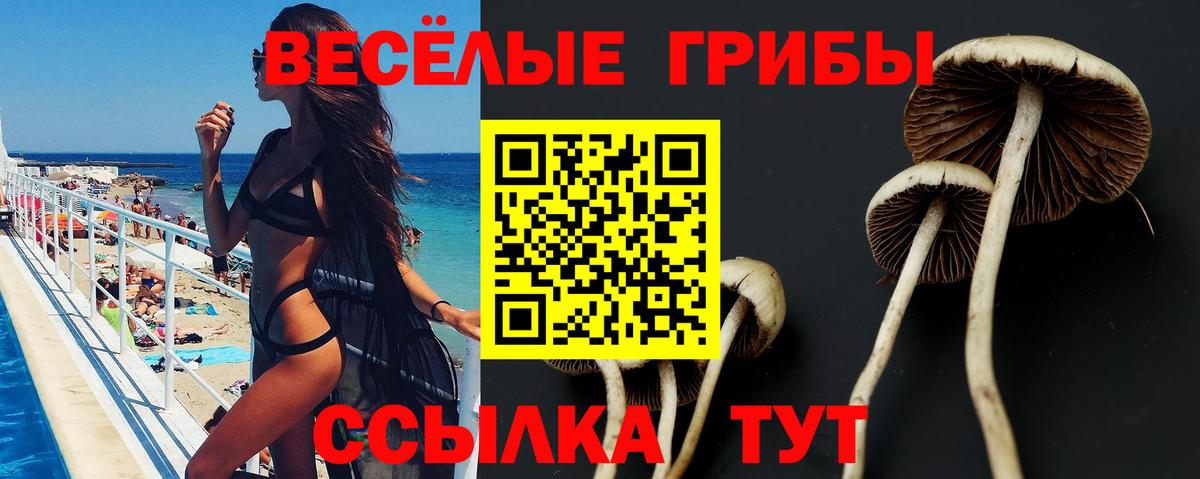 Псилоцибиновые грибы MAGIC MUSHROOMS Амурск